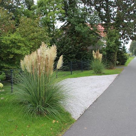 Fewo Nordseeflair Eg - Wiarden ภายนอก รูปภาพ